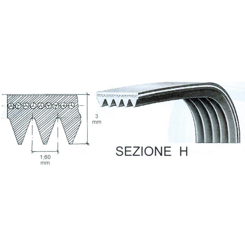 CINGHIA RIGATA EL1046=EL1051=EL1053H7