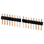ZOCCOLO STRIP LINEARE 40 PIN MASCHIO