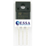 TRANSISTOR  F313PI