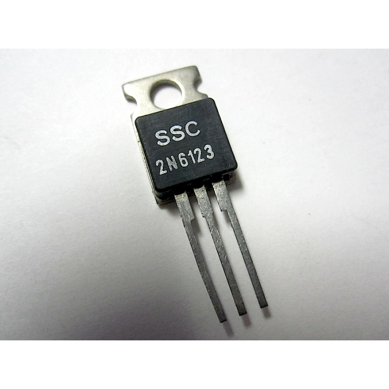 TRANSISTOR   2N6123